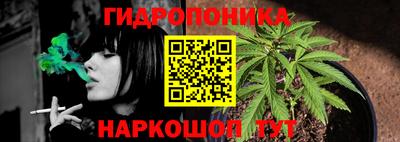 дживик Новокубанск