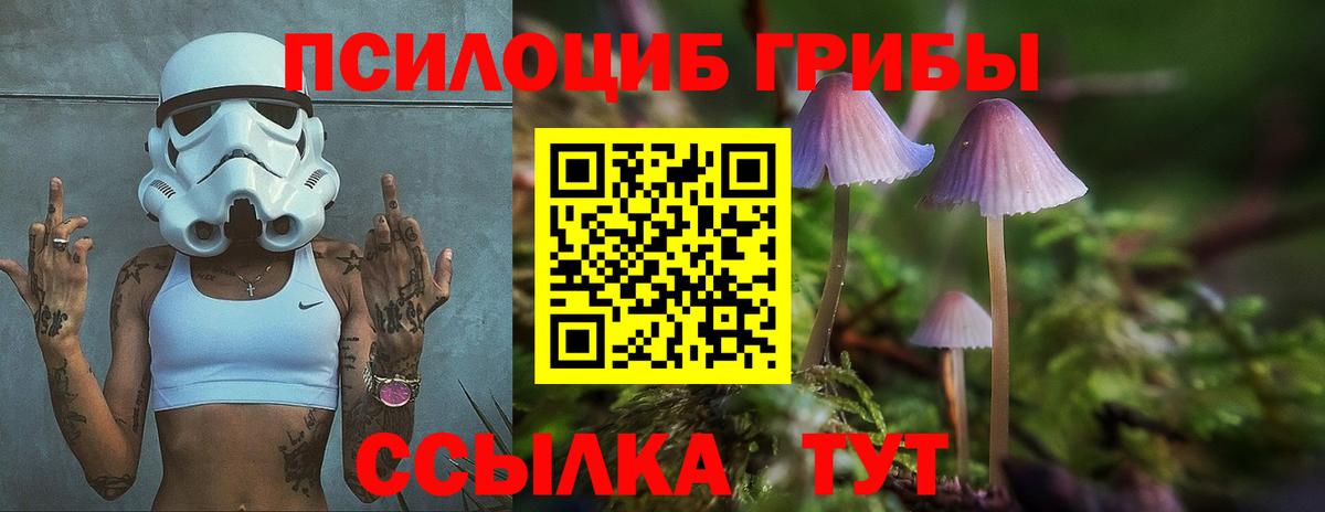 Галлюциногенные грибы мицелий Тулун